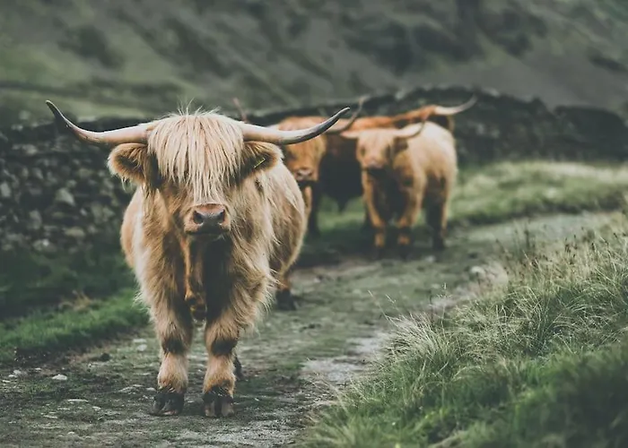 Elm House Barn - Converted Barn At The Gateway To The District National Park High Hesket