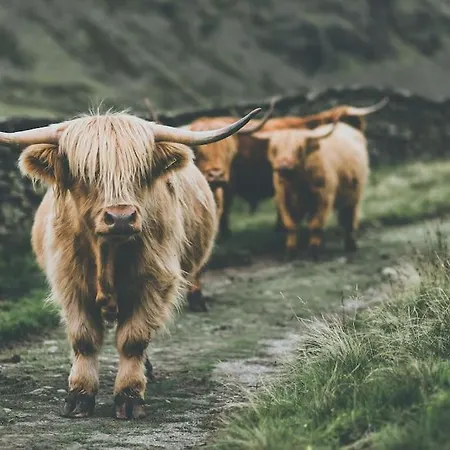 Elm House Barn - Converted One Bed Barn At The Gateway To The District National Park High Hesket